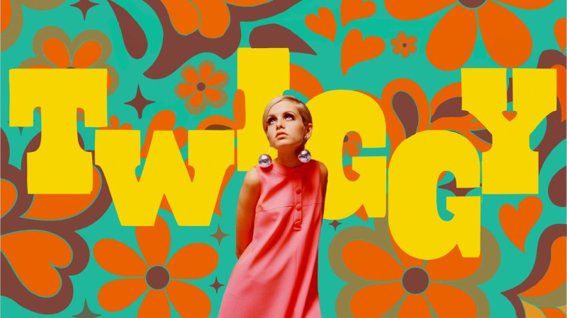 TWIGGY TWIGGY